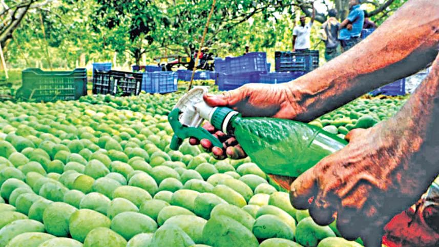 Fresh produce undermined by widespread food adulteration