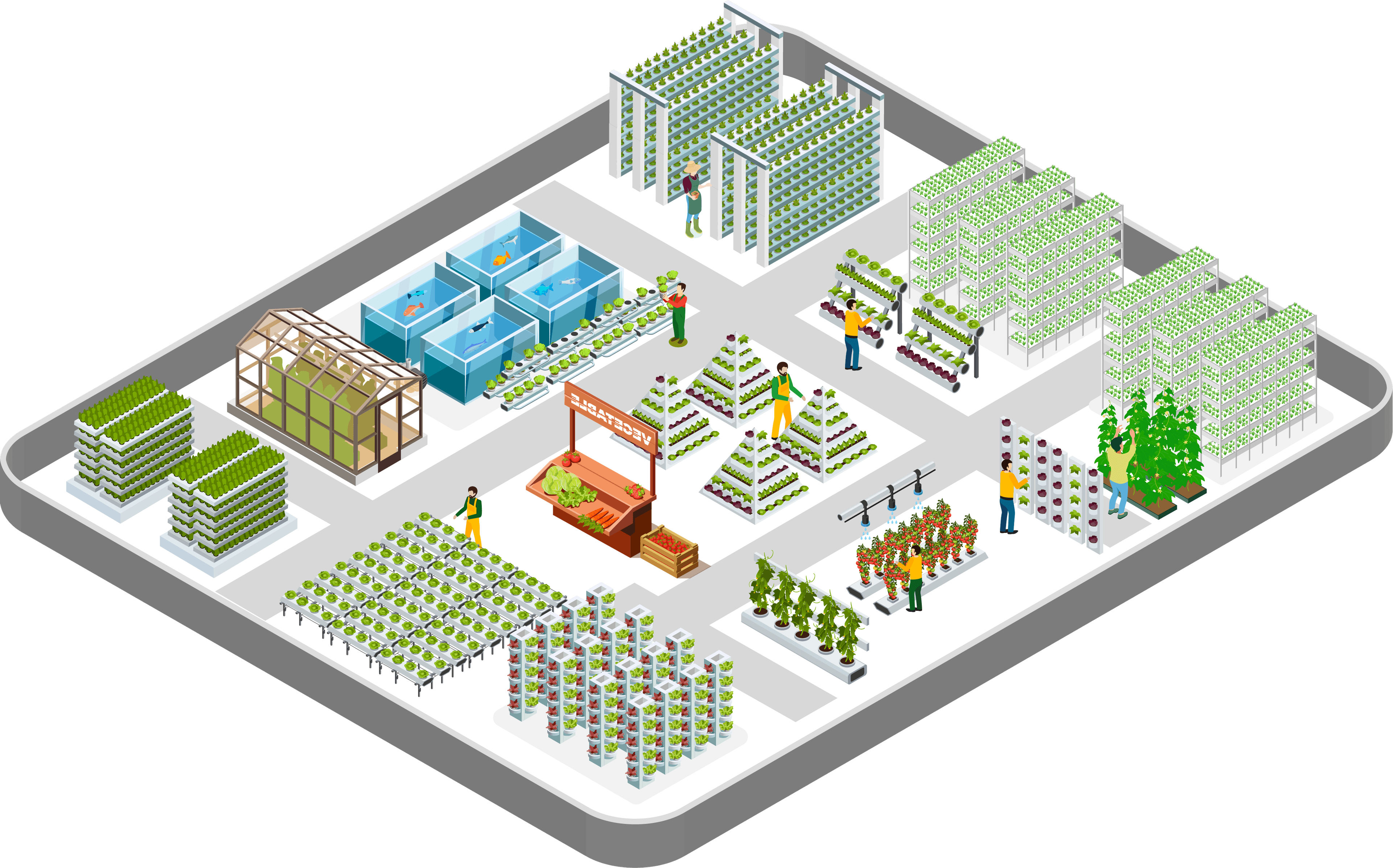 Hyper local vertical farm - RAS and aquaponics system layout