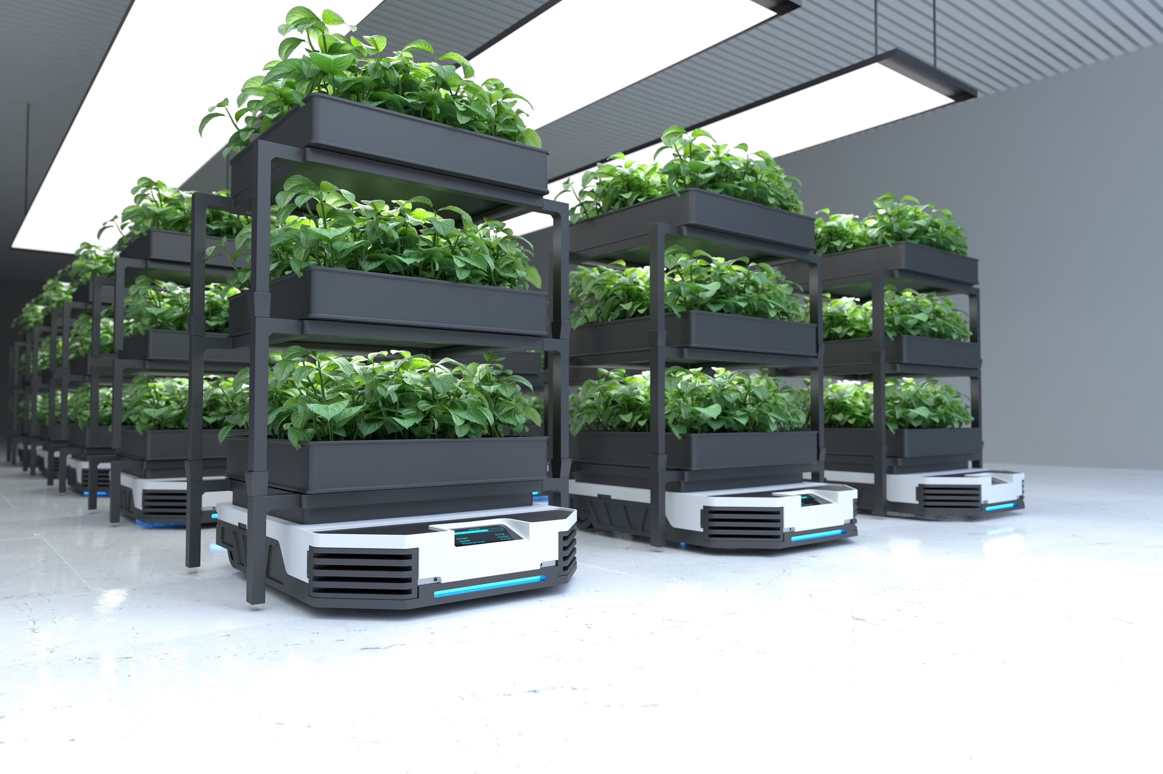 Automated vertical farming towers on rooftop